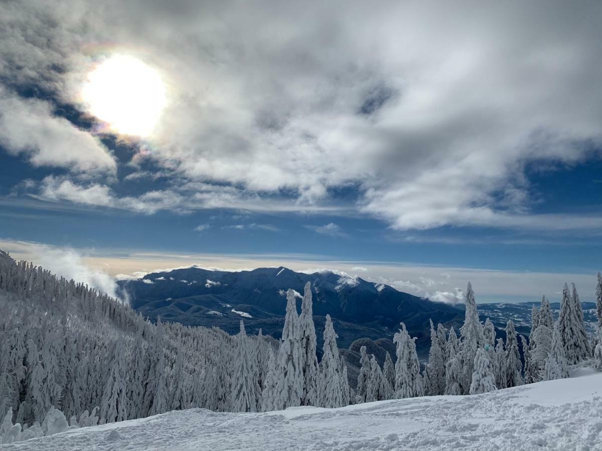 Silver Mountain Poiana Brasov Exterior foto