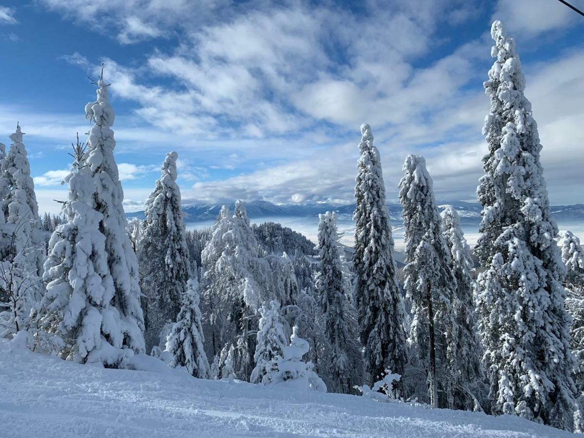 Silver Mountain Poiana Brasov Exterior foto