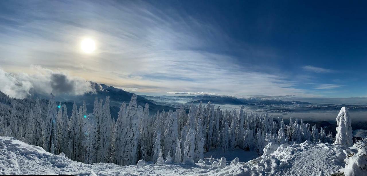 Silver Mountain Poiana Brasov Exterior foto